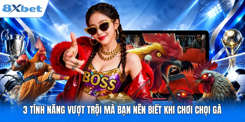 3 tính năng vượt trội mà bạn nên biết khi chơi chọi gà