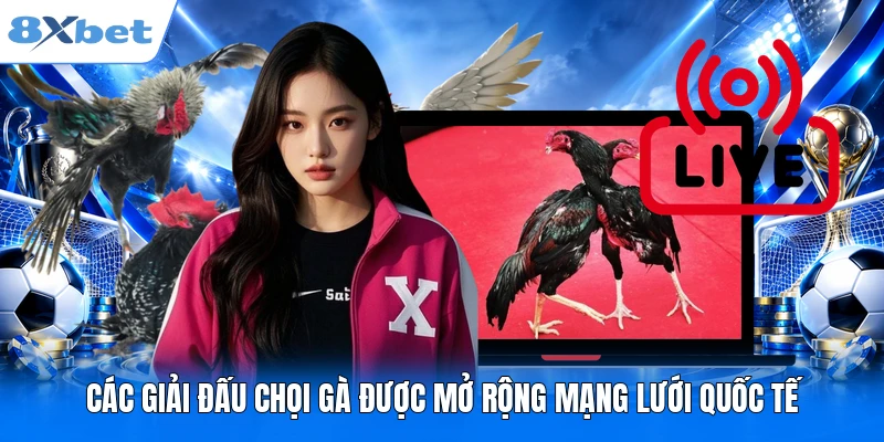 Đá Gà Philippines - Xem Các Trận Đấu Đỉnh Cao Tại 8XBET Các giải đấu chọi gà được mở rộng mạng lưới quốc tế