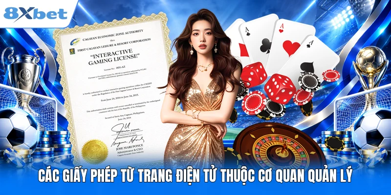 Các giấy phép từ trang điện tử thuộc cơ quan quản lý