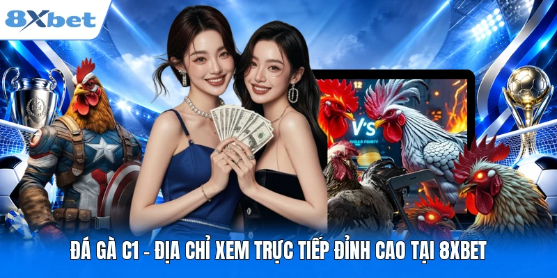 Đá gà C1 - Địa Chỉ Xem Trực Tiếp Đỉnh Cao Tại 8XBET Đá gà C1 - Địa Chỉ Xem Trực Tiếp Đỉnh Cao Tại 8XBET