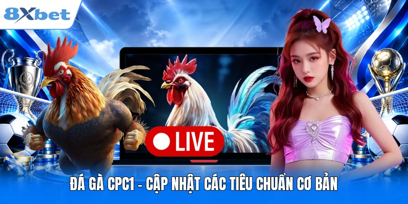 Đá gà CPC1 - Cập nhật các tiêu chuẩn cơ bản