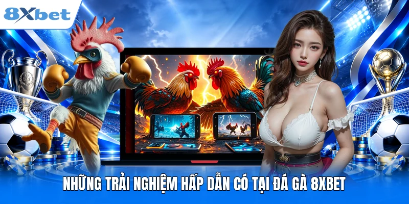 Những trải nghiệm hấp dẫn có tại đá gà 8XBET